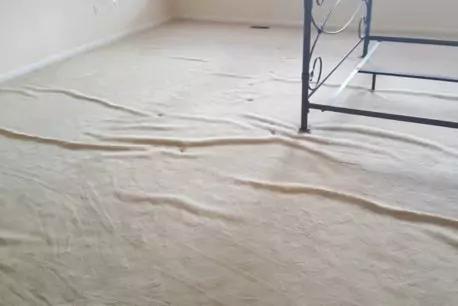 Carpet Wrinkle Repair
